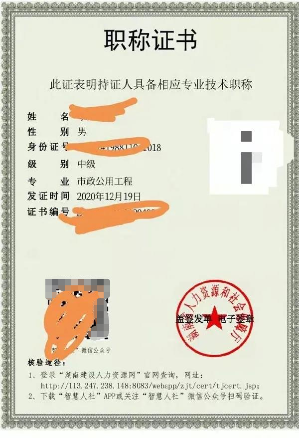 湖北江城大道市政工程(图1)